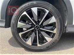 بي واي دي سونغ بلس